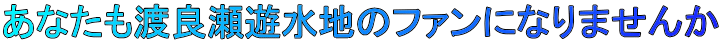 あなたも渡良瀬遊水地のファンになりませんか